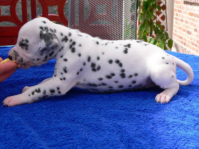 04_P1190872_Bildgre ndern