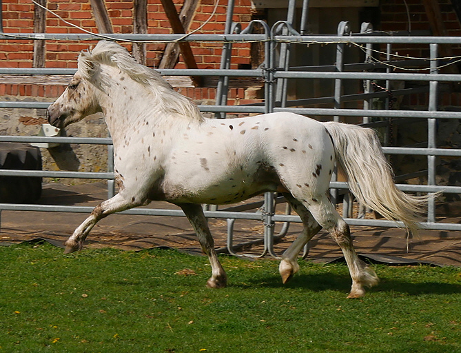 P1470135neu3-HP P1470135neu3-HP