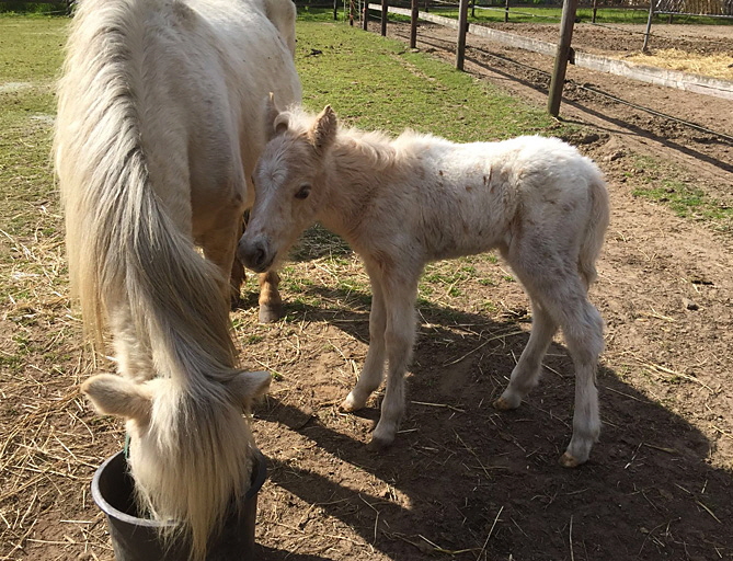 Spotty Geburt1 Spotty Geburt1