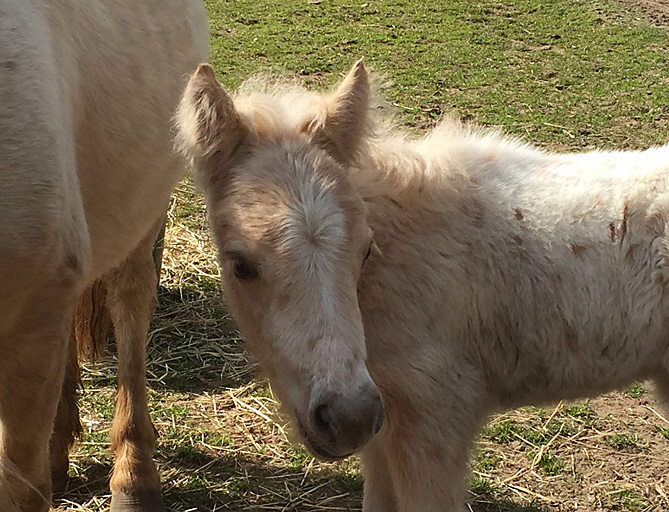 Spotty Geburt2 Spotty Geburt2